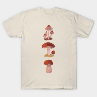 Three mushrooms T-Shirt